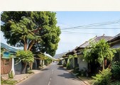Jalan di sekitar hunian